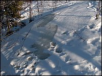 Feb 5 2005 p.jpg