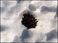 Feb 5 2005 r.jpg