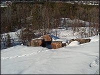 Feb 5 2005 s.jpg