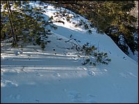Feb 5 2005 w.jpg
