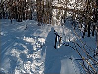 Feb 5 2005 y.jpg