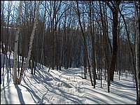 Feb 5 2005b.jpg