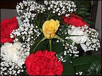 Feb 5 2005b_2.jpg