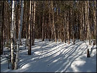 Feb 5 2005c.jpg