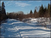 Feb 5 2005d.jpg