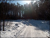 Feb 5 2005h.jpg
