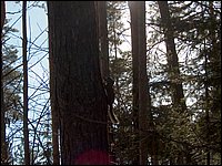 Feb 5 2005j.jpg