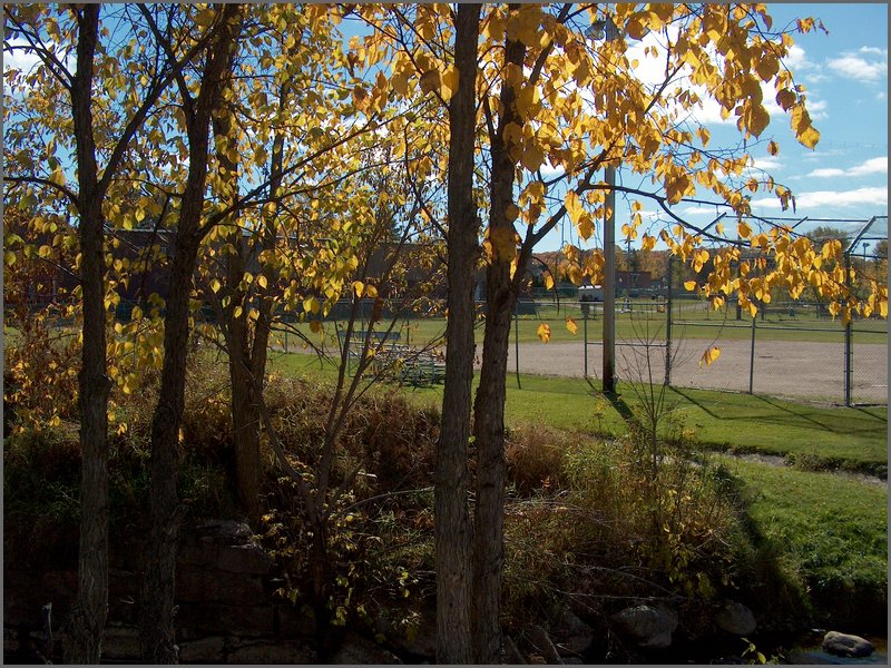 Ball Park 6.jpg