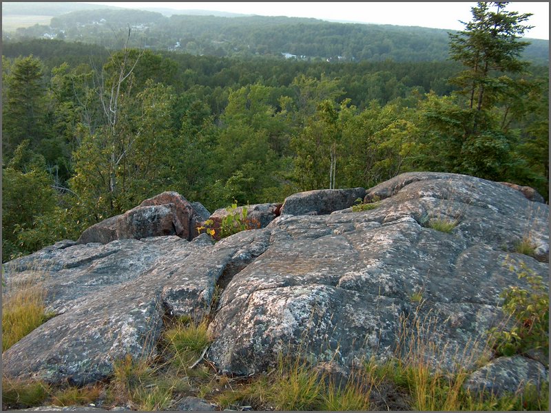 Bear Cave 6.jpg
