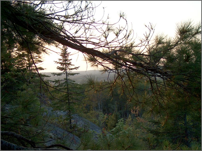 Evening On The Mountain.jpg