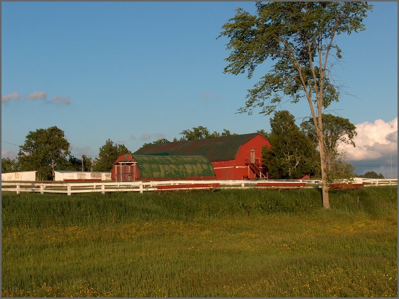 Fair Grounds h.jpg