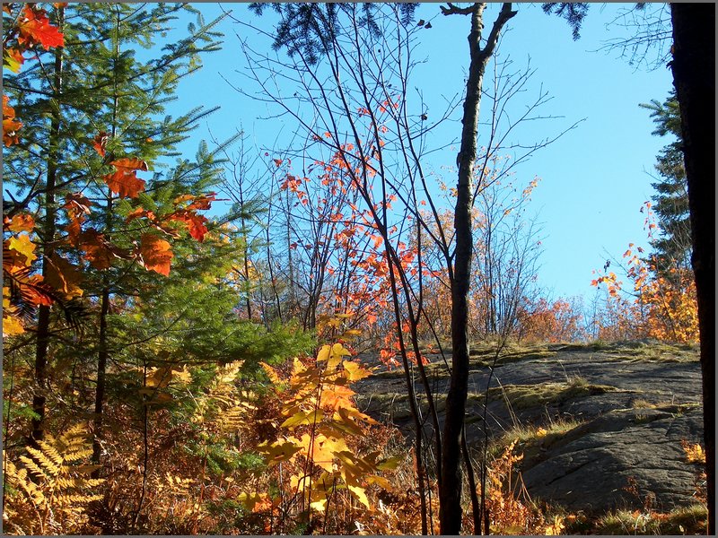 Fall 2004a.jpg