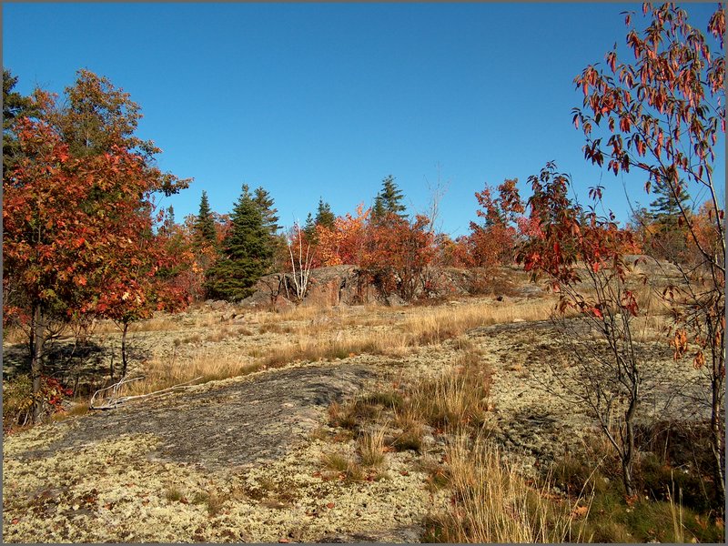 Fall 2004f.jpg