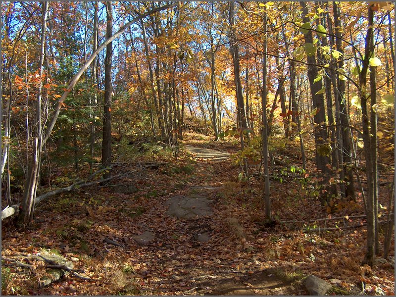 Fall 2004r.jpg