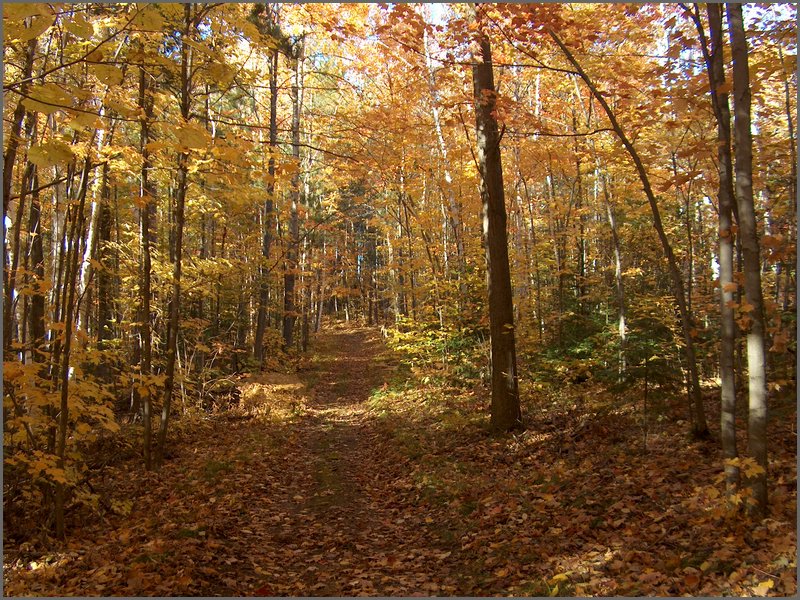 Fall 2004w.jpg