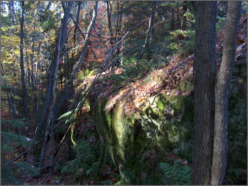 Fall 2004y.jpg
