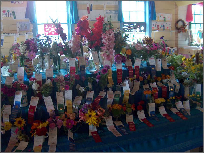 Fall Fair 2004 12.jpg