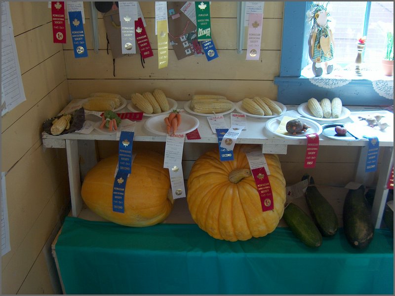 Fall Fair 2004 13.jpg