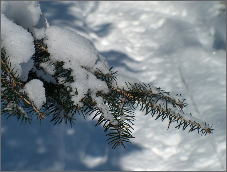 Feb 12 2004 m.jpg