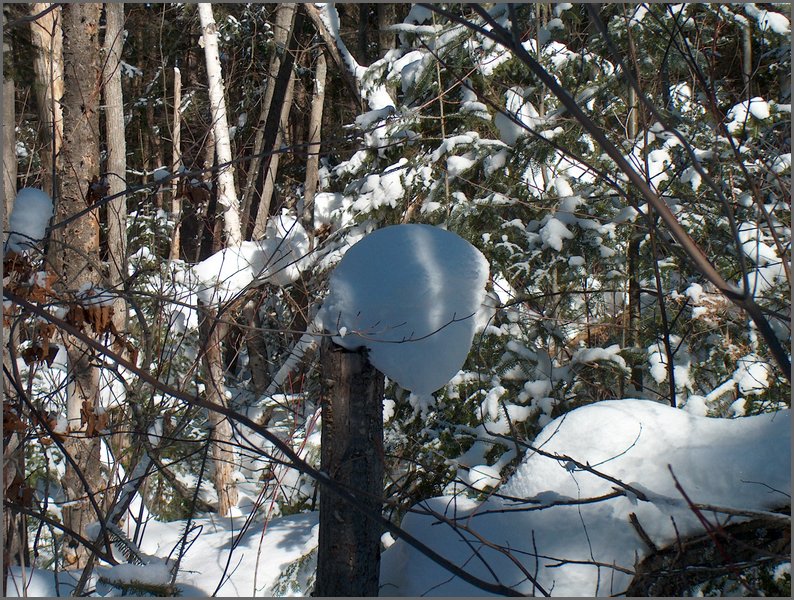 Feb 12 2004 o.jpg