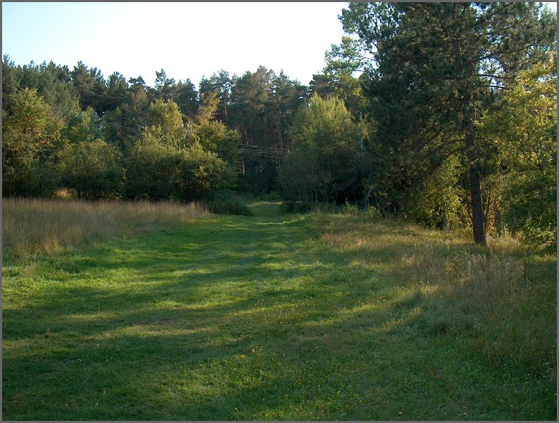 Field By Old Pumphouse.jpg