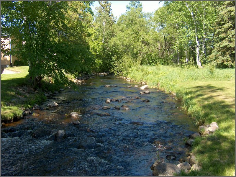 Genesee Creek  1.jpg