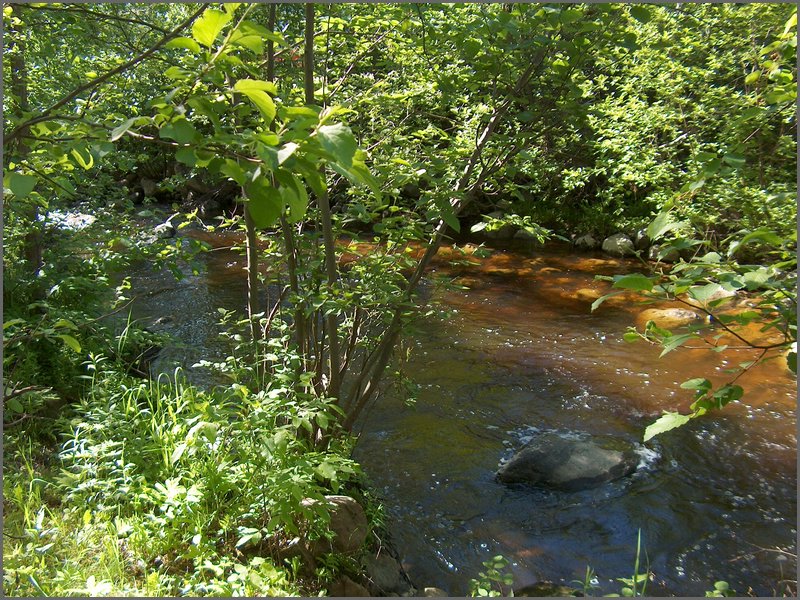 Genesee Creek  3.jpg