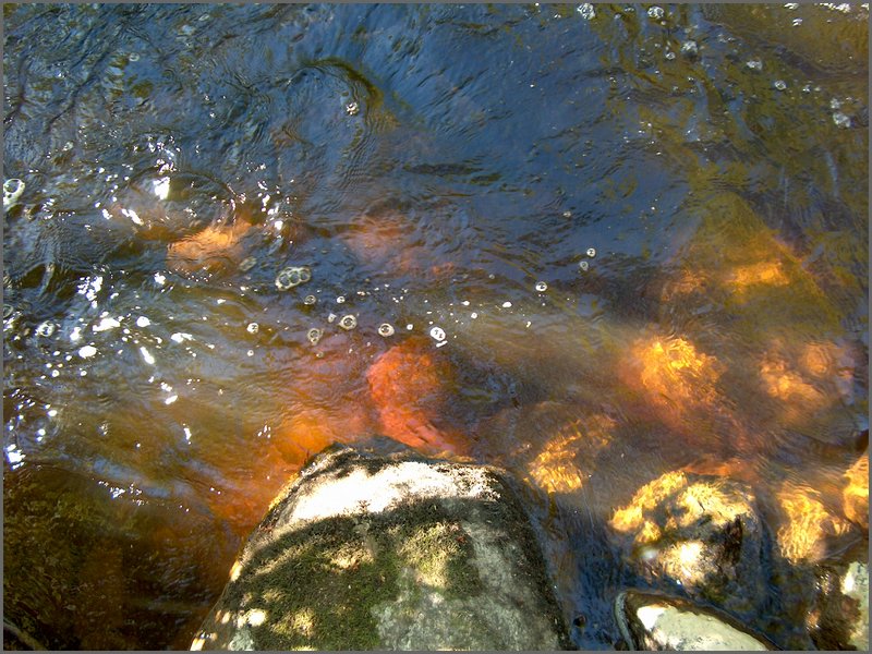 Genesee Creek  4.jpg
