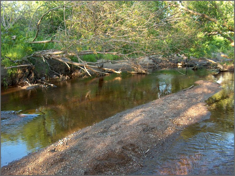 Genesee Creek 24.jpg