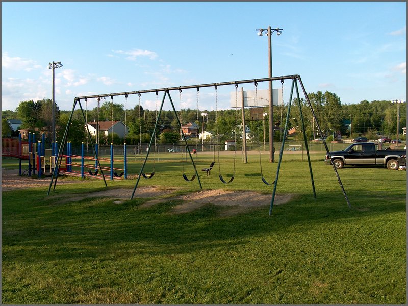 Lions Playground 2.jpg