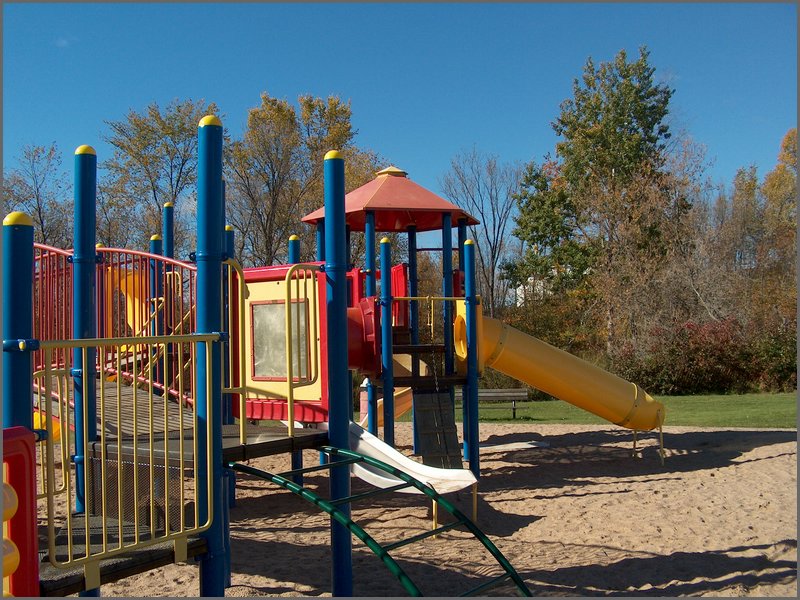 Lions Playground 3.jpg