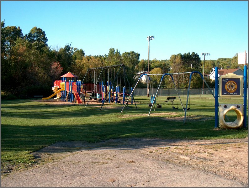 Lions Playground 6.jpg