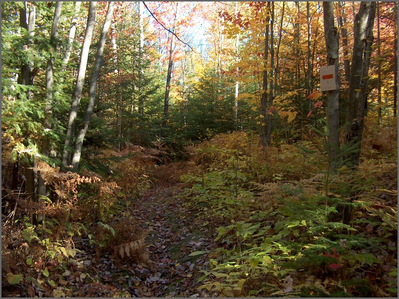 Porcupine Shortcut Trail.jpg