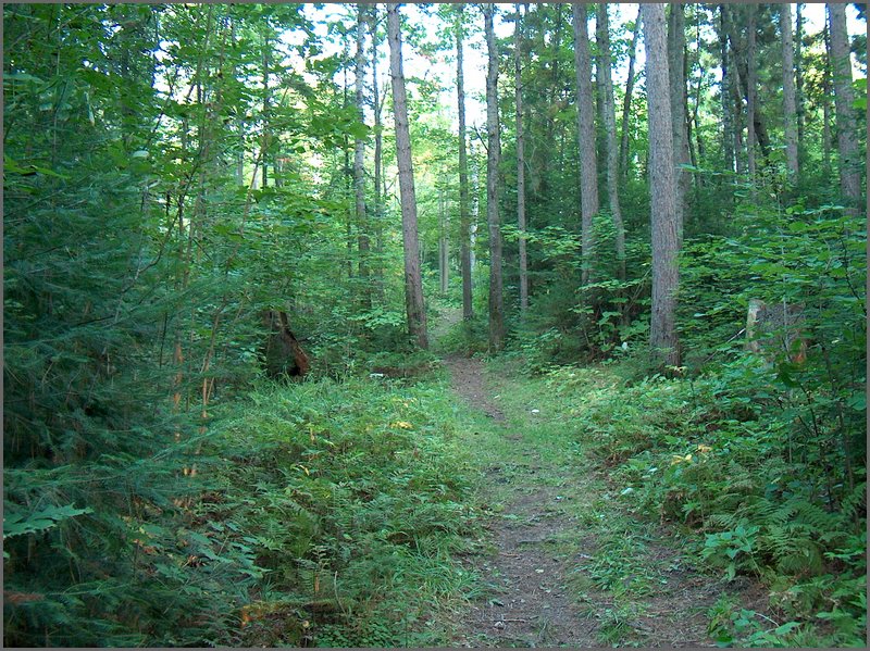 Trail by old Spring.jpg