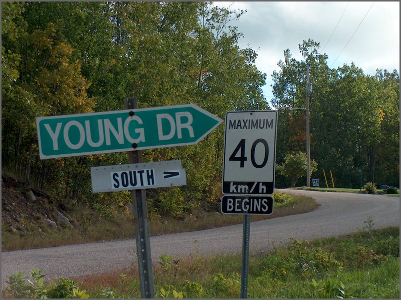 Young Drive.JPG