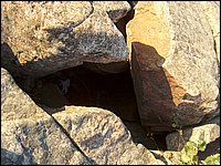 Bear Cave 1.jpg