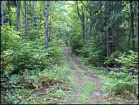 Big Bend Trail.jpg