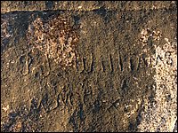 Carved Williams.jpg