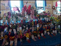 Fall Fair 2004 12.jpg