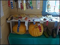 Fall Fair 2004 13.jpg