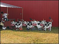 Fall Fair 2004 16.jpg