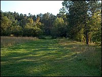 Field By Old Pumphouse.jpg