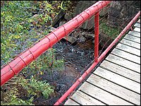 Foot Bridge 2.jpg