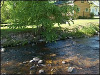 Genesee Creek  2.jpg