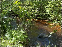 Genesee Creek  3.jpg