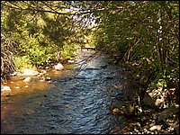 Genesee Creek  5.jpg