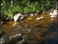 Genesee Creek  6.jpg