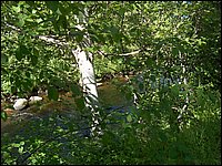 Genesee Creek  7.jpg