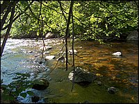 Genesee Creek 11.jpg
