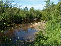 Genesee Creek 14.jpg